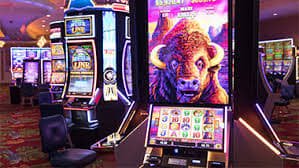 655bet app
